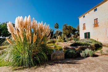 Catering Finca Morneta | Catering Company