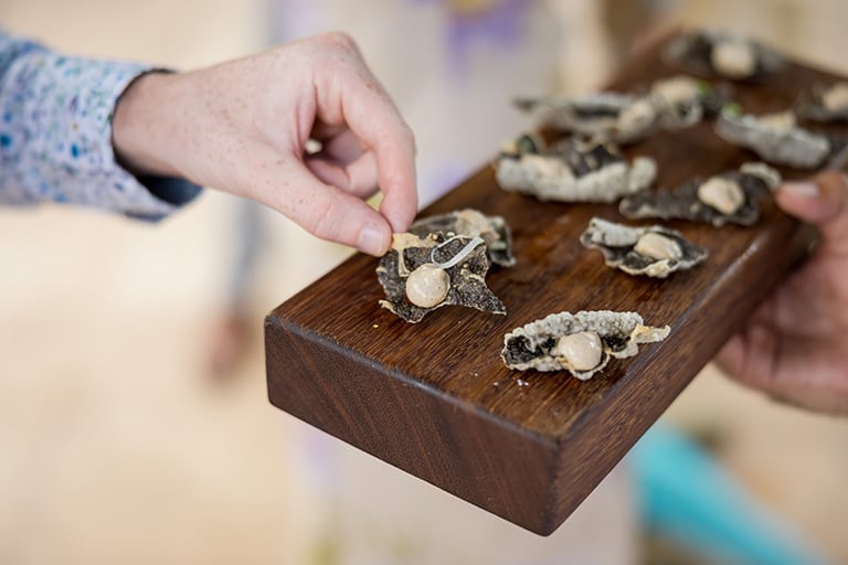 Catering Prices Mallorca | Catering Company